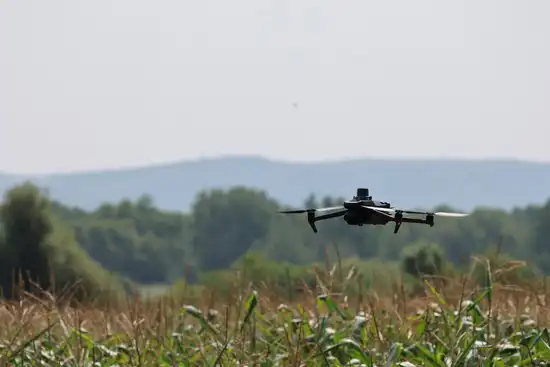 geoterra surveys